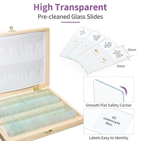 Labvida 50PCS Prepared Microscope Slides, Microbiology Specimen Slides for Kids, Adults LVQ091 in Kuwait