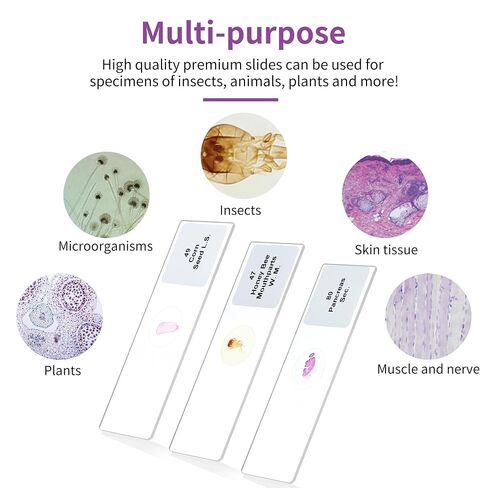 Labvida 50PCS Prepared Microscope Slides, Microbiology Specimen Slides for Kids, Adults LVQ091 in Kuwait