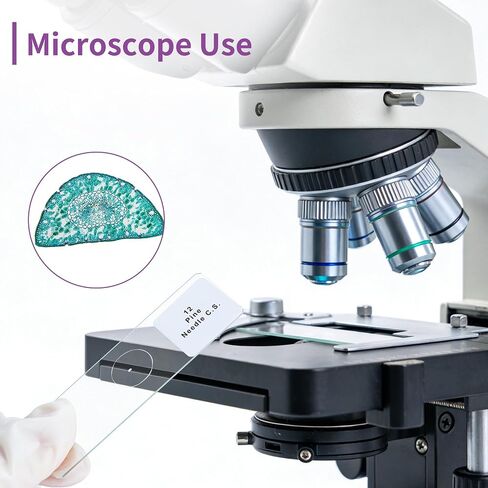 Labvida 50PCS Prepared Microscope Slides, Microbiology Specimen Slides for Kids, Adults LVQ091 in Kuwait