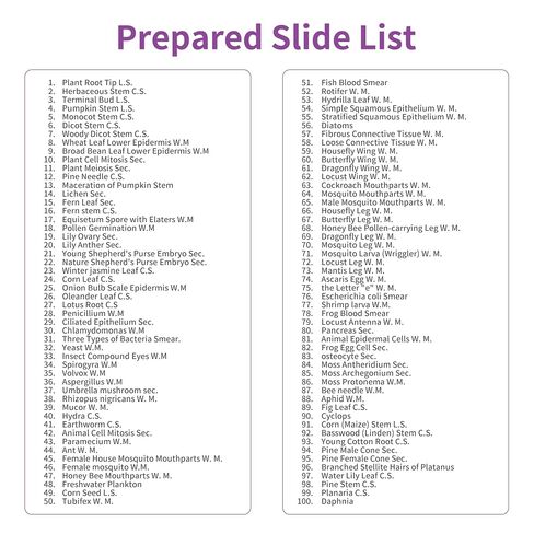 Labvida 50PCS Prepared Microscope Slides, Microbiology Specimen Slides for Kids, Adults LVQ091 in Kuwait