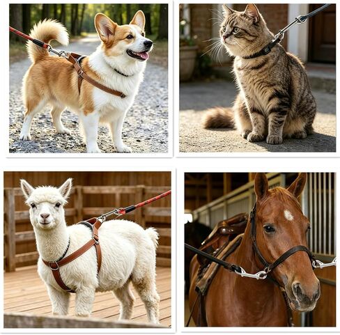 Dog Lesh Double Ended Snap Hooks for Walking Running,Stainless Steel Dog Clips for All Pet Leash,Pet Feed Buckets,Horse Tack,Camping Hammock,Widely Use (4Pack) in Kuwait