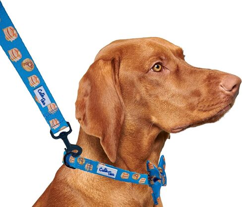 Dog Leash Pizza– Durable Nylon Material - Premium Quality Leash for Dogs - Fancy Leashes - Cute Dog Leash in Two Sizes - (Pizza, Large (1" x 6')) in Kuwait