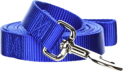 Hamilton Single Thick Nylon Dog Lead, 1-Inch by 6-Feet, Raspberry in Kuwait