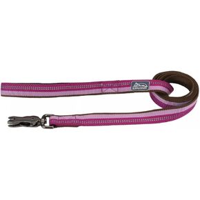 مقود الكلب العاكس K9 Explorer من Coastal Pet مع مشبك مقص - مقود نايلون متين - مقاود للكلاب والجراء - مستلزمات الحيوانات الأليفة للكلاب - أوركيد، 5/8 بوصة × 6 أقدام in Kuwait