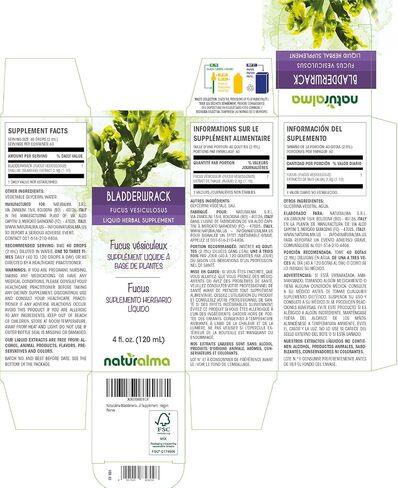 Naturalma Bladderwrack or Sea oak (Fucus vesiculosus) thallus (seaweed) Alcohol-free Tincture - 4 fl oz Liquid extract in drops - Herbal supplement - Vegan in Kuwait