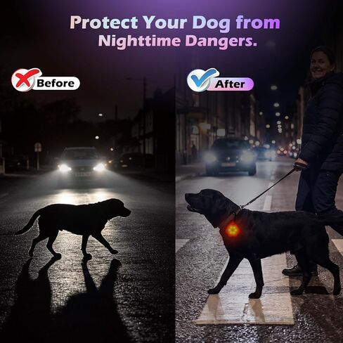 NOVKIN 2-Pack ضوء الكلب مع USB قابل لإعادة الشحن، ضوء طوق الكلب متغير اللون، IP67 مقاوم للماء LED أضواء سلامة الكلب للمشي ليلاً تعلق على الياقة أو المقود أو الحزام، ضوء أمان للجري أو التخييم أو الدراجة in Kuwait