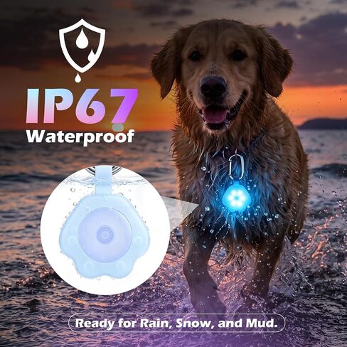 NOVKIN 2-Pack ضوء الكلب مع USB قابل لإعادة الشحن، ضوء طوق الكلب متغير اللون، IP67 مقاوم للماء LED أضواء سلامة الكلب للمشي ليلاً تعلق على الياقة أو المقود أو الحزام، ضوء أمان للجري أو التخييم أو الدراجة in Kuwait