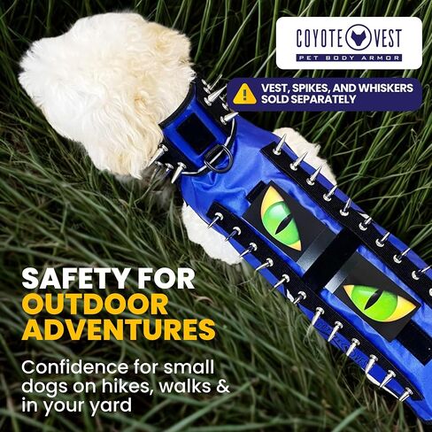 CoyoteVest Waterproof Flexible Hawk Eyes for Dog Protection | Light Weight Plastic Sheet with Double Sided Velcro | Help Prevent Attacks from Birds of Prey in Kuwait