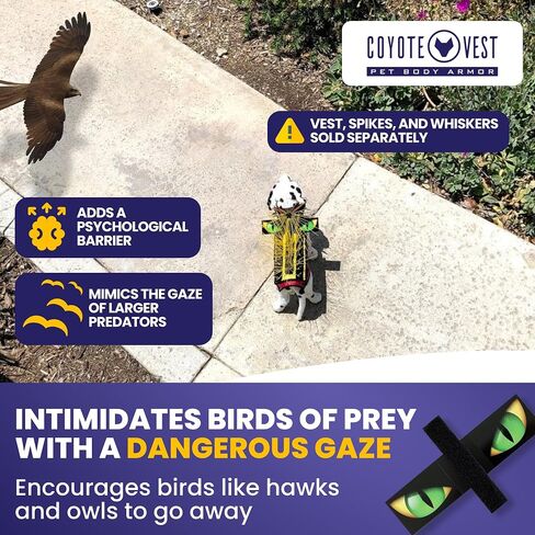 CoyoteVest Waterproof Flexible Hawk Eyes for Dog Protection | Light Weight Plastic Sheet with Double Sided Velcro | Help Prevent Attacks from Birds of Prey in Kuwait