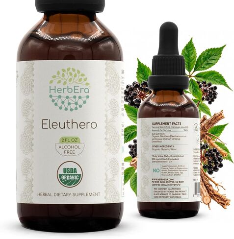 Eleuthero B60 USDA Organic Tincture | Alcohol-Free Extract, High-Potency Herbal Drops | Certified Organic Eleuthero (Eleutherococcus Senticosus, Siberian Ginseng) Dried Root (2 oz) in Kuwait