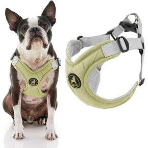 Gooby Small Dog Harness, Purple - Memory Foam, 4 Point Adjustment, X-Frame, No Pull, Size Small, Perfect for Chihuahuas, Yorkies, Pomeranians, Extra Small Breeds in Kuwait