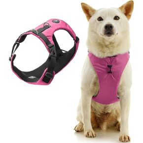 Gooby Trailblazer Harness - Olive Branch, X-Small - Shock Absorbing Dog Harness with No Pull Front and Dual Back Clips for Small Dog and Medium Dog in Kuwait