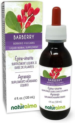 Naturalma Barberry (Berberis vulgaris) root bark Alcohol-free Tincture - 4 fl oz Liquid extract in drops - Herbal supplement - Vegan in Kuwait