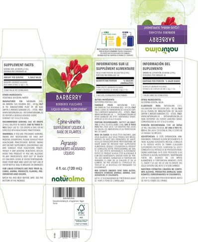 Naturalma Barberry (Berberis vulgaris) root bark Alcohol-free Tincture - 4 fl oz Liquid extract in drops - Herbal supplement - Vegan in Kuwait