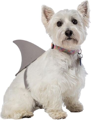 زي Rasta Imposta Shark Fin للكلاب، مقاس X-Small/Small in Kuwait