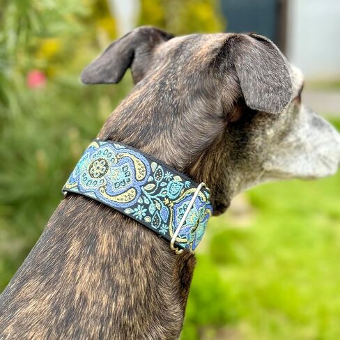 Martingale Dog Collar for Greyhound Saluki Whippet and Other Breeds with Similar Neck 2" Wid (14"-18") Matching Leash Available in Kuwait