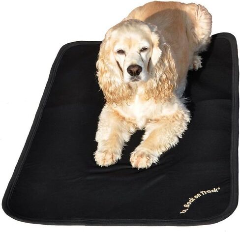 Back on Track Dog Mattress Cage (Medium (34" x 22")) in Kuwait