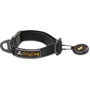 OllyDog Tilden Collar, Waterproof Dog Collar with Quick Release Buckle, Coated Stink-Proof Webbing, Lightweight Collar for Large, Medium and Small Dogs (Small, Pink) in Kuwait