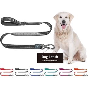 Kruz Dog Leash (Width - 5/8", Length - 4 FT) Reflective Rope Lead with Soft Silicone Grip, Click & Lock Snap, Durable Nylon Safety Lead with Locking Carabiner Clip & Foam Handle - (Gray, Small) in Kuwait
