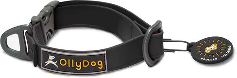 طوق OllyDog Tilden، طوق كلب مقاوم للماء مع مشبك سريع التحرير، حزام مطلي مقاوم للرائحة الكريهة، طوق خفيف الوزن للكلاب الكبيرة والمتوسطة والصغيرة (متوسطة، حمراء) in Kuwait