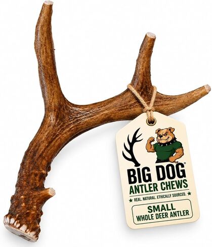 Small Whole Deer Antler Dog Chew, For Small to Medium Size Dogs and Puppies - 6 to 11 Inches Long - Big Dog Antler Chews Brand in Kuwait