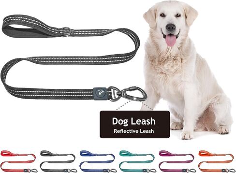 Kruz Dog Leash (Width - 5/8", Length - 4 FT) Reflective Rope Lead with Soft Silicone Grip, Click & Lock Snap, Durable Nylon Safety Lead with Locking Carabiner Clip & Foam Handle - (Gray, Small) in Kuwait