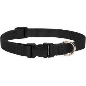 LupinePet Basics 3/4" Blue 13-22" Adjustable Collar for Medium and Larger Dogs in Kuwait