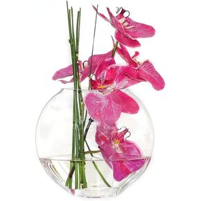 CYS EXCEL Glass Moon Vase Oval Bowl (H:11.75" L:14") | Multiple Size Choices Round Flower Vase Centerpiece | Plant Terrarium Bowl Vase in Kuwait