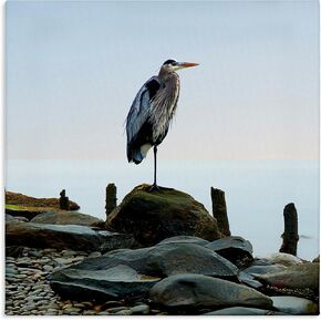 Stupell Industries Pelican Perched Summer Fishing Dock Canvas Wall Art, Design by James Harris in Kuwait