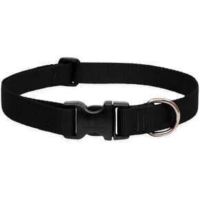 LupinePet Basics 1" Green 12-20" Adjustable Collar for Medium and Larger Dogs in Kuwait