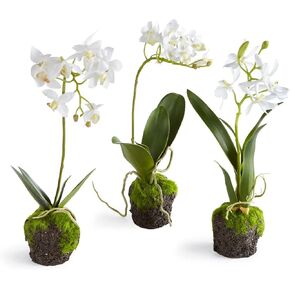 Napa 11.5" Mini DENDROBIUM Rustic Dropin, 5x8x13.75 Inches in Kuwait