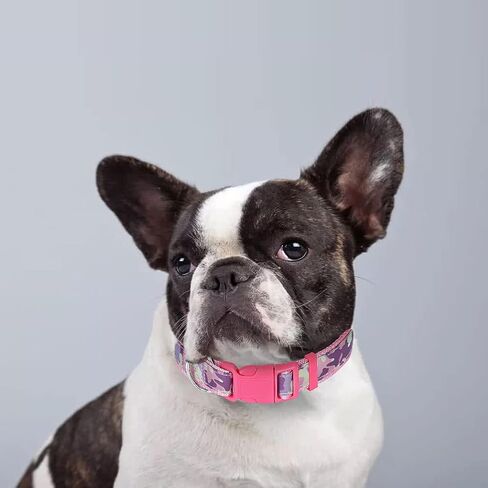 CBBPET Pink Dog Collar,Cute Dog Collar,Adjustable Nylon Outdoor Adventure Pet Collar, Lightweight,2 Sizes in Kuwait