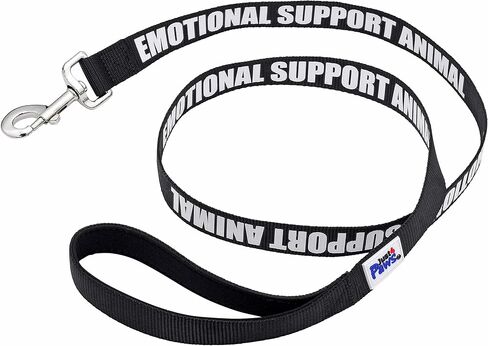 Just 4 Paws Padded Emotional Support Dog Leash with Neoprene Handle & Reflective Print on Both Sides, 4 Foot Long, 2 Widths, for Harnesses, Vests or Collars, Red (Large 1" X 4', Red) in Kuwait