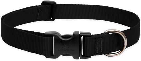 LupinePet Basics 1" Green 12-20" Adjustable Collar for Medium and Larger Dogs in Kuwait