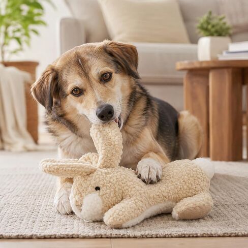 Large Sherpa Plush Bunny Squeaky Interactive Fetch Dog Toy Stuffed with Fluff and Crinkly Floppy Ears for Medium to Large Breeds in Kuwait