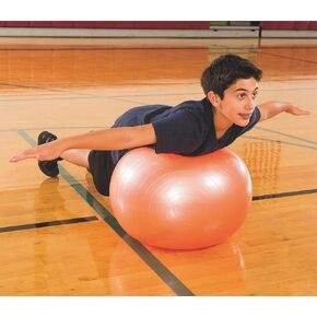 S&S Worldwide Exercise and Therapy Ball, 17-1/2 Inch