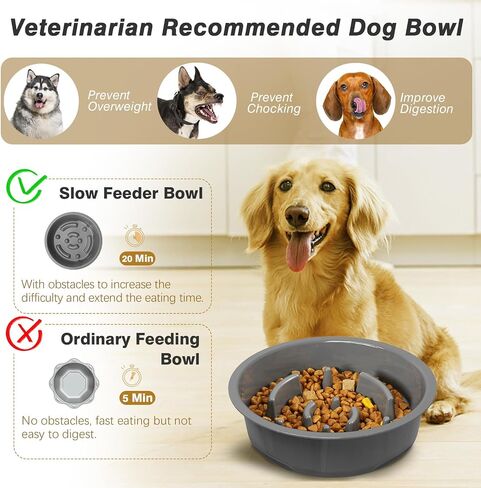 Lewondr Elevated Dog Water Bowl, 80OZ/2.5L No Spill Water Bowl for Dogs 3 Heights Adjustable Raised Dog Water Bowl to Slow Down Drinking Dog Bowl Stand for Small Medium & Large Dogs, Black in Saudi Arabia