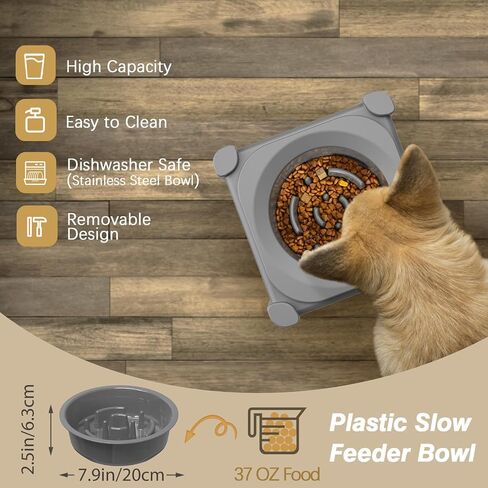 Lewondr Elevated Dog Water Bowl, 80OZ/2.5L No Spill Water Bowl for Dogs 3 Heights Adjustable Raised Dog Water Bowl to Slow Down Drinking Dog Bowl Stand for Small Medium & Large Dogs, Black in Saudi Arabia