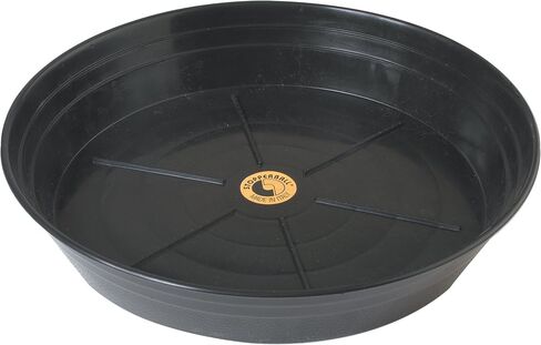 Champion Sports FPSL Exercise & Fitness Ball - 9" H x 13" L x 12" W - Rubber in Saudi Arabia