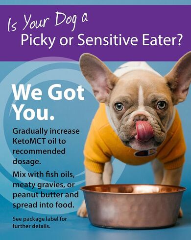 Lifesense C8 Keto MCT Oil for Dogs Sourced from Coconut Oil, Human Grade,Keto Friendly, 32 oz, Developed in USA by PhD Nutrition in Kuwait
