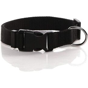 Nylon Dog Collar, Adjustable Dog Collars for Medium Large Dogs, 1 Inch Wide (Purple) in Kuwait