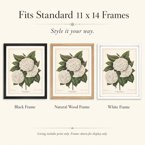 Vintage Japanese Snowball Flower Illustration - Classic Botanical Poster, Home and Graden Decoration, Cottagecore Room Decor, Vintage Flower Wall Display Gift, 11x14 Unframed Art Print Poster in Kuwait