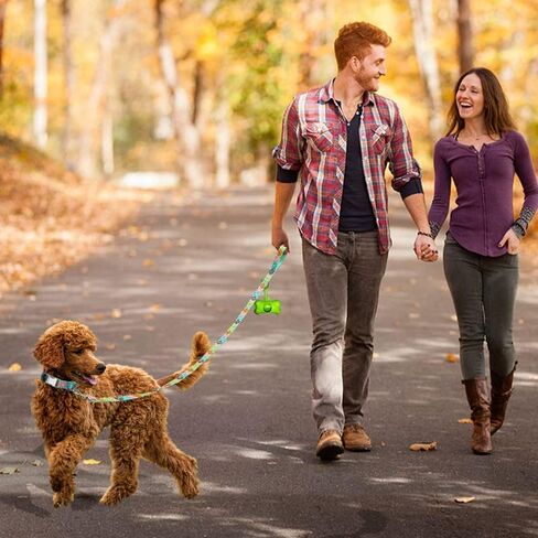 GINIDEAR Dog Collar and Leash Set for Girl Dogs with Cute Embroidery Lace Flowers for Daily Outdoor Walking, Adjustable for Small Medium Large Dogs. Green, S in Kuwait