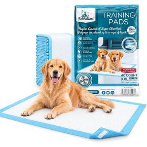 Puppy Pads XL - 24" x 36" Extra Large, Super Absorbent, Leak-Proof Dog Training Pee Pads - Waterproof, Non-Slip with Sticky Tapes, 6-Layer Protection, Odor Control (XL - 24" x 36" - 40ct) in Kuwait