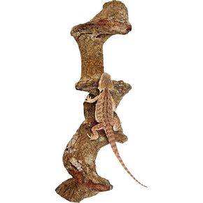 Apatal Reptile Branch Decor Snake Climbing Wood Branches Lizard Habitat Decorations Terrarium Wooden Tree Trunk Ornament for Bearded Dragon Snake Geckos Chameleon Frog 4 Pcs (S) in Kuwait