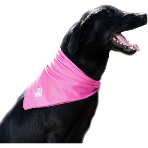Terrain Dog Cooling Bandana - Cooling Fabric Powered by Coolcore® Technology in Kuwait