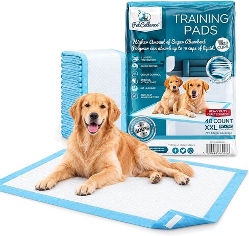 Puppy Pads XL - 24" x 36" Extra Large, Super Absorbent, Leak-Proof Dog Training Pee Pads - Waterproof, Non-Slip with Sticky Tapes, 6-Layer Protection, Odor Control (XL - 24" x 36" - 40ct) in Kuwait