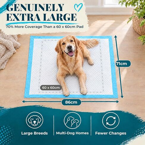 Puppy Pads XL - 24" x 36" Extra Large, Super Absorbent, Leak-Proof Dog Training Pee Pads - Waterproof, Non-Slip with Sticky Tapes, 6-Layer Protection, Odor Control (XL - 24" x 36" - 40ct) in Kuwait