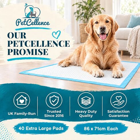 Puppy Pads XL - 24" x 36" Extra Large, Super Absorbent, Leak-Proof Dog Training Pee Pads - Waterproof, Non-Slip with Sticky Tapes, 6-Layer Protection, Odor Control (XL - 24" x 36" - 40ct) in Kuwait
