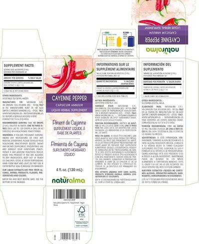 Naturalma Cayenne pepper (Capsicum annuum) fruit Alcohol-free Tincture - 4 fl oz Liquid extract in drops - Herbal supplement - Vegan in Kuwait